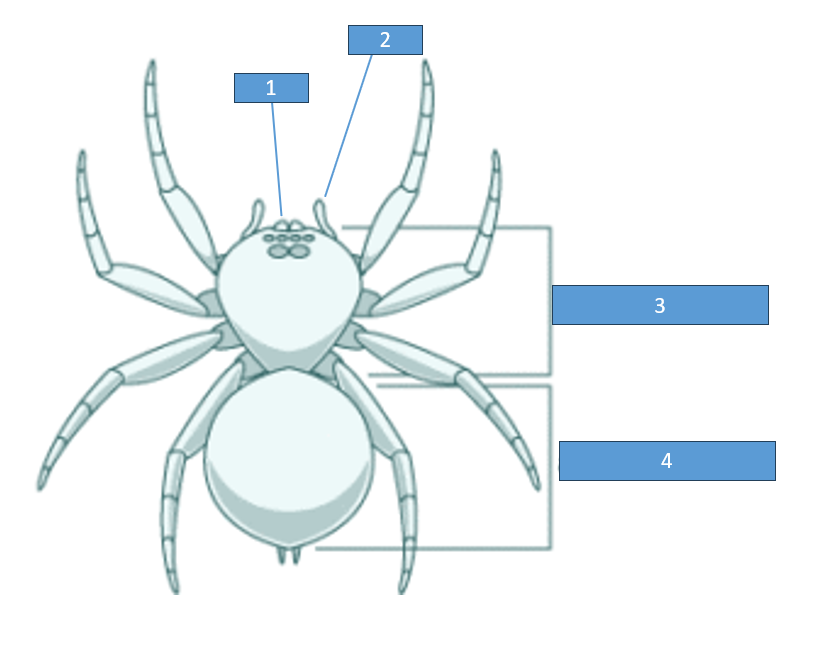 <p>4</p>