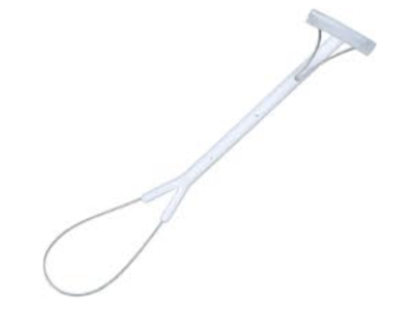 <p>Used to help during parturition to pull the offspring out of the birth canal.</p>