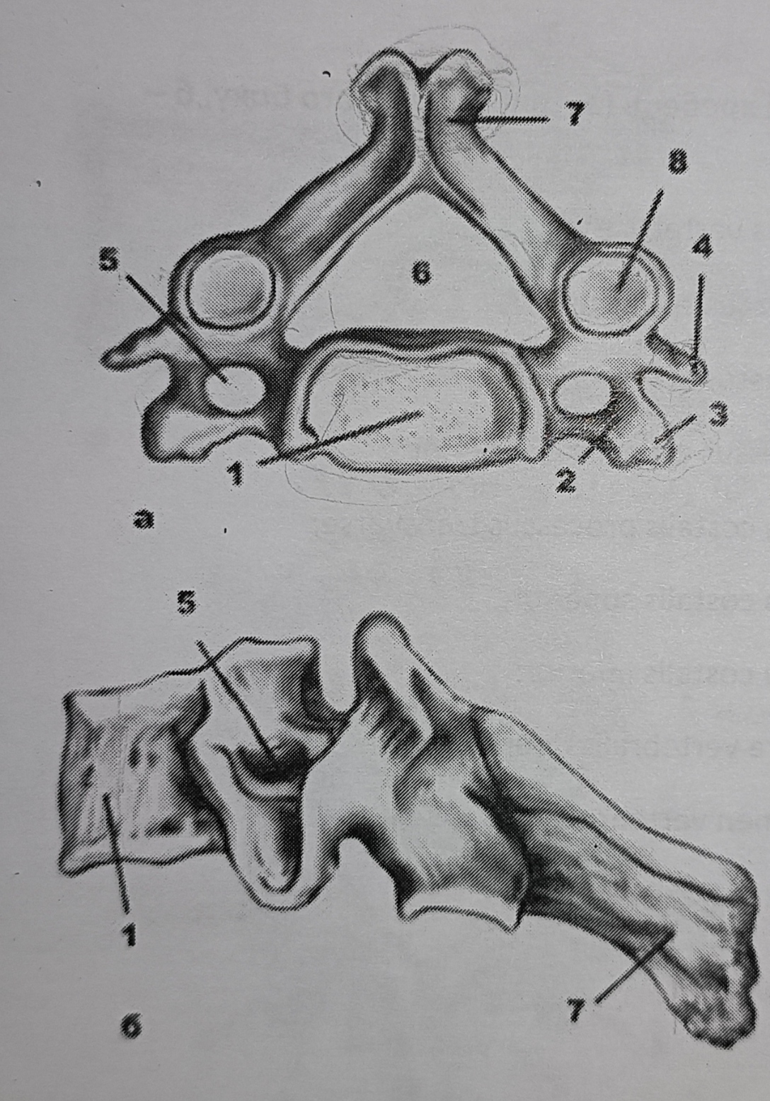 <p>3</p>