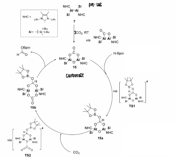 <p>How does dialumene reduce CO2 catalytically?</p>