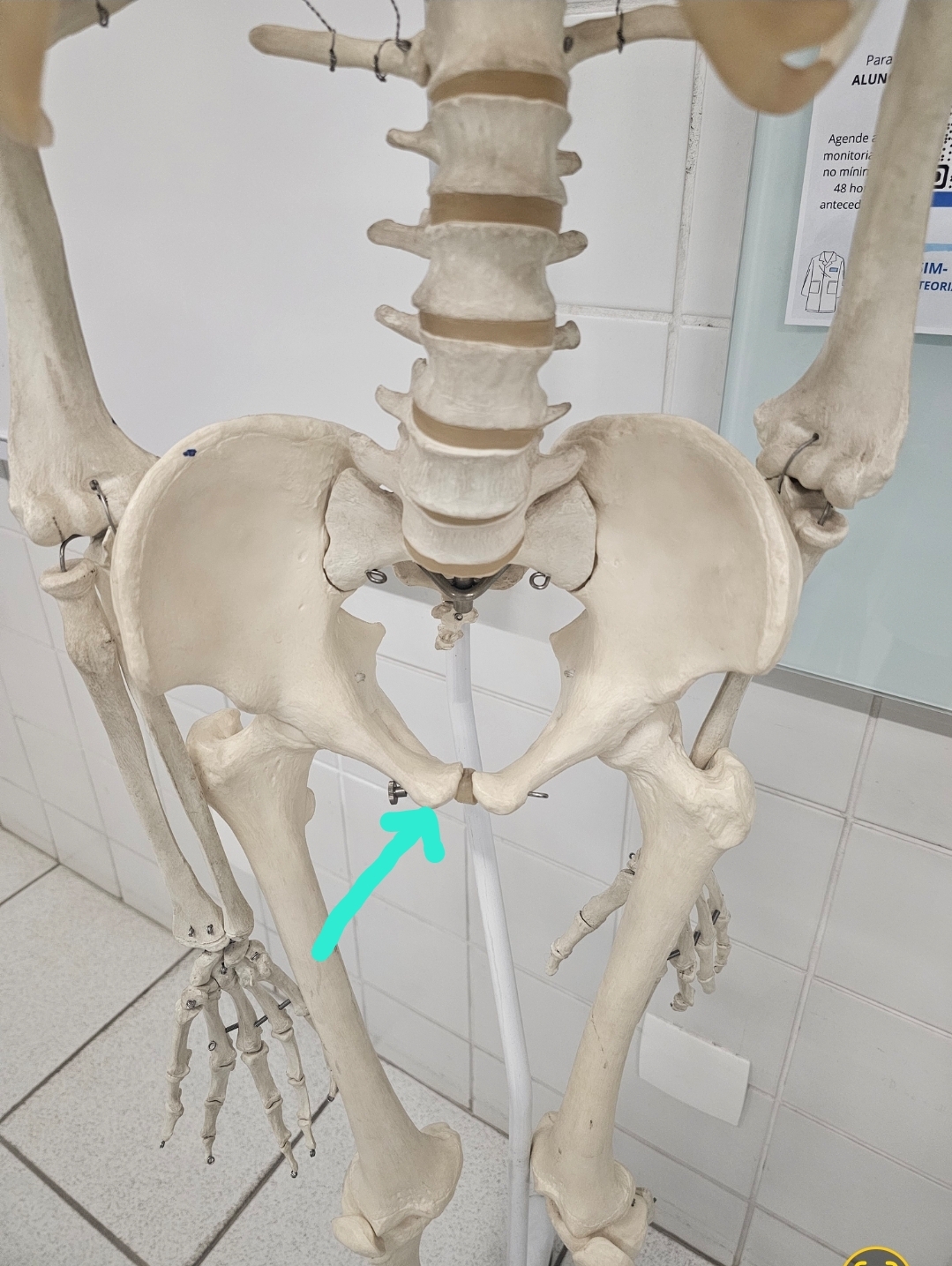 <p>Qual é o nome?</p>