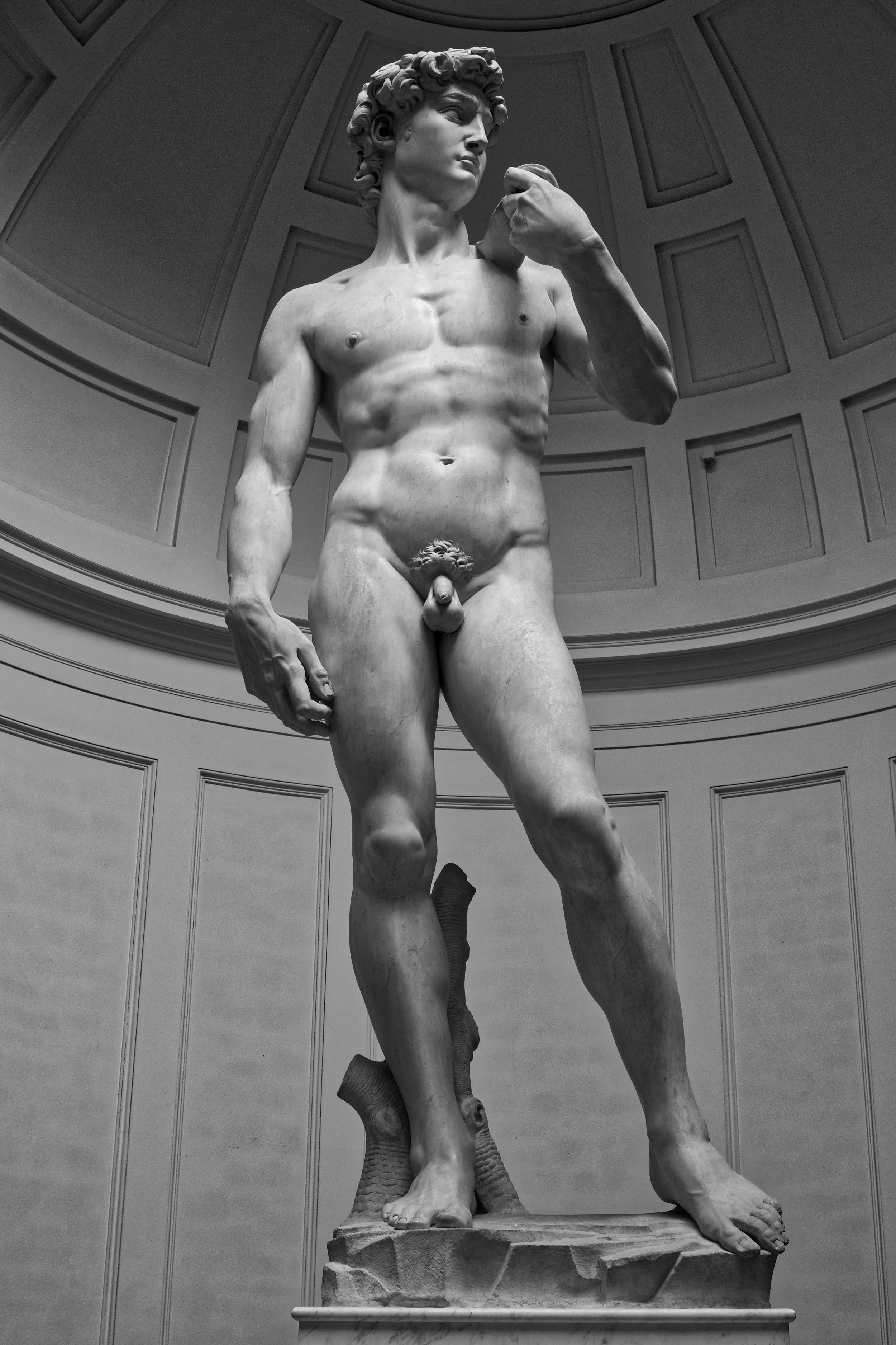 <p><strong>Michelangelo, <em>David</em>, 1501-04</strong></p><ul><li><p>Commissioned to decorate the outside of the cathedral in Florence, it is so big because it was meant to be up there</p><ul><li><p>was given this after the success of the pieta</p></li></ul></li><li><p>sculpted out of a large block of marble that was one part of an earlier commission- the government was looking back 100 years to the Golden age of the Florentine republic</p></li><li><p>After the Medici were exiled out of Florence in 1490s (1494) and the republic gets reestablished</p><ul><li><p>Savonarola (monk) begins rising to power and turning the new republic into a theocratic state.</p><ul><li><p>Did not like how Florence had become because of their wealth and interest in the arts and the humanities</p></li><li><p>“bonfire of the humanities”</p></li><li><p>excommunicated by the pope and executed</p></li></ul></li></ul></li><li><p>David was made after the defeat of two tyrants</p></li><li><p>Biblical figure of David means something special for the Florentines </p><ul><li><p>David defeats goliath, good overcoming evil</p></li><li><p>saw themselves as an underdog</p></li><li><p>follows in the tradition of Donatello (commissioned by the Medici) and Verrocchio</p></li></ul></li><li><p>Antiquity</p><ul><li><p>Contrapposto-weight shifting</p></li></ul></li><li><p>We see David before the fight instead of after the fight, he is anticipating what is going to happen.</p><ul><li><p>powerful sense of uncertainty but the Contrappostopose is relaxed</p></li><li><p>we sense david as a human being not God. </p></li></ul></li><li><p>Palazzo della Signoria </p><ul><li><p>David was seen as too beautiful to be placed on Santa Maria del Fiore (Florence Cathedral) so they moved it to the Palazzo della Signoria</p></li><li><p>this changed the religious meaning to a political meaning - a symbol of the new republic.</p></li></ul></li></ul><p></p>