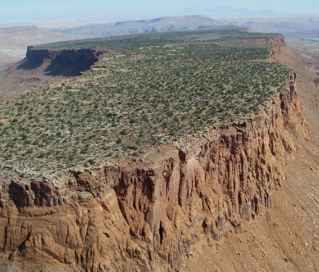 <p>Plateau</p>