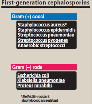 <p>cefazolin, Cephalexin</p><p>penicillin Gsubstitutes. </p><p>• Resistant to the staphylococcal penicillinase (including MSSA)</p>