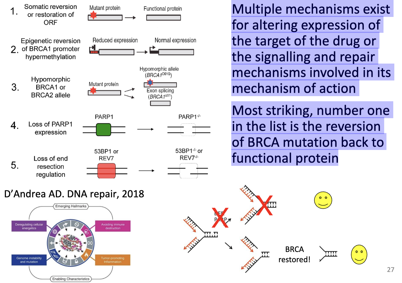 <p>Multiple mechanisms exist for altering expression of the target of the drug or the signalling and repair mechanisms involved in its mechanism of action</p><p>Most striking, number one in the list is the reversion of BRCA mutation back to functional protein</p>