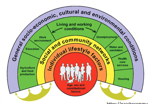 <p>social determinates also matter for health disparity, such as living conditions, lifestyle choices, housing, healthcare, discrimination, education etc.</p><p><span>Concept of Social Determinants of Health =broader, intersecting aspects of society, social relations, and social structures have a strong influence on health</span></p><p><span>impactful in the 19thC with measles outbreaks for example, vaccines helped but hygiene did significantly as well</span></p>