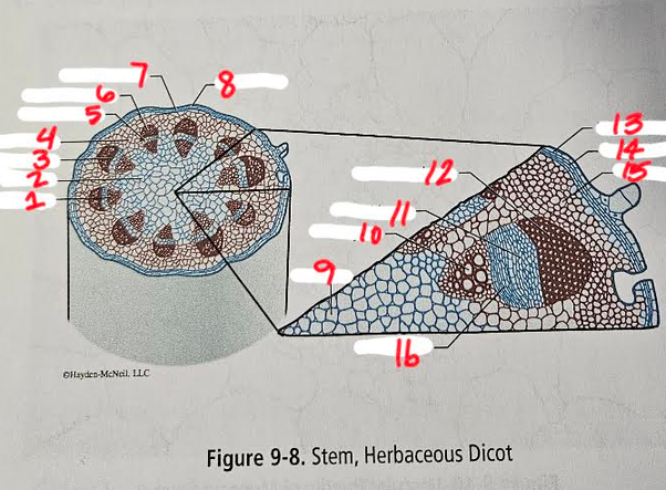 <p>3</p>