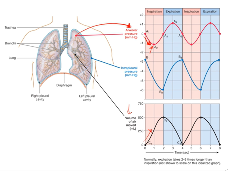 <p>With the pressure change diagram, how are the changes in volume determined?</p>