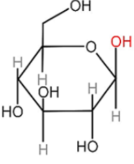 <p>What is this image displaying?</p>