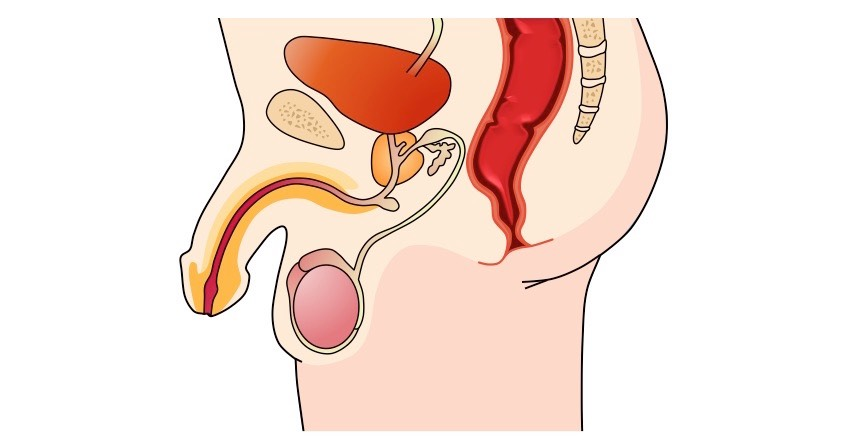 <p>Label male reproductive system diagram</p>