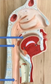 <p>name the parts</p>