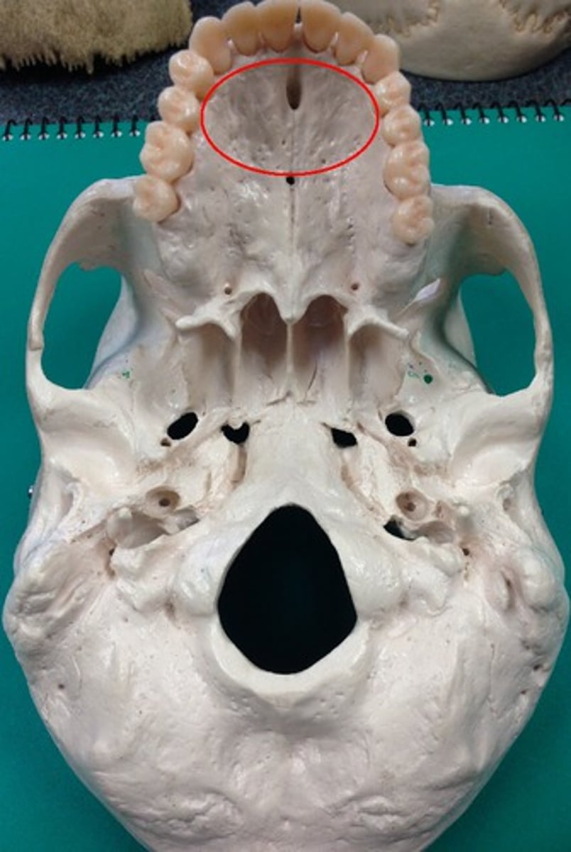 <p>ID STRUCTURE indicated by circle</p>