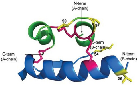 <p>What is this structure?</p>