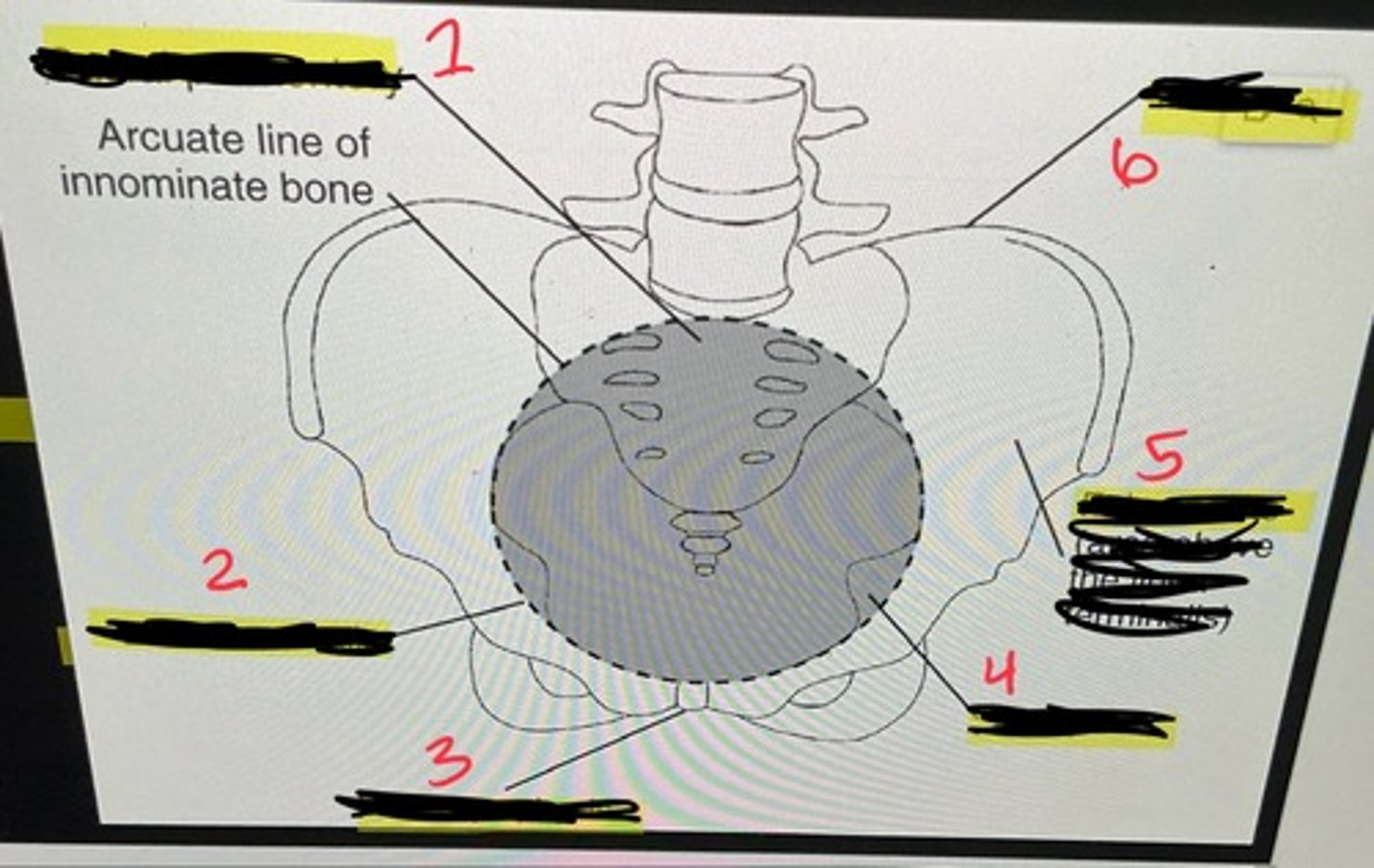 <p>6</p>