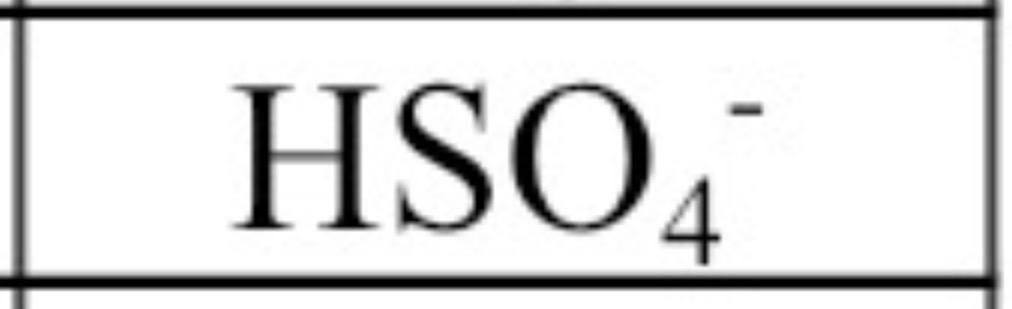 <p>(hydrogen sulfate)</p>