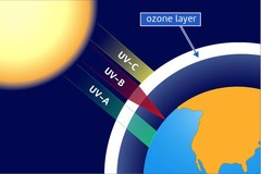 <p>A region of the atmosphere with higher concentrations of ozone gas.</p>