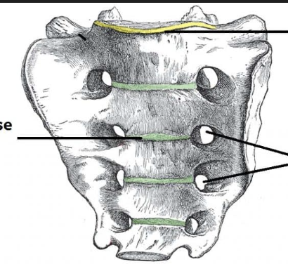 <p>whats the yellow? </p>