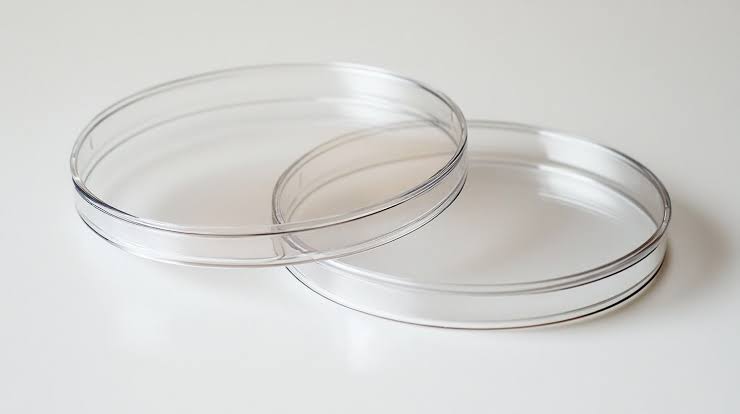 <p>Petri dish</p>