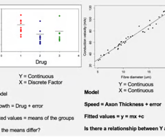 <p>A continuous independent variable (e.g. age, temperature, size).</p>