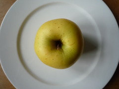 <p>4020</p>