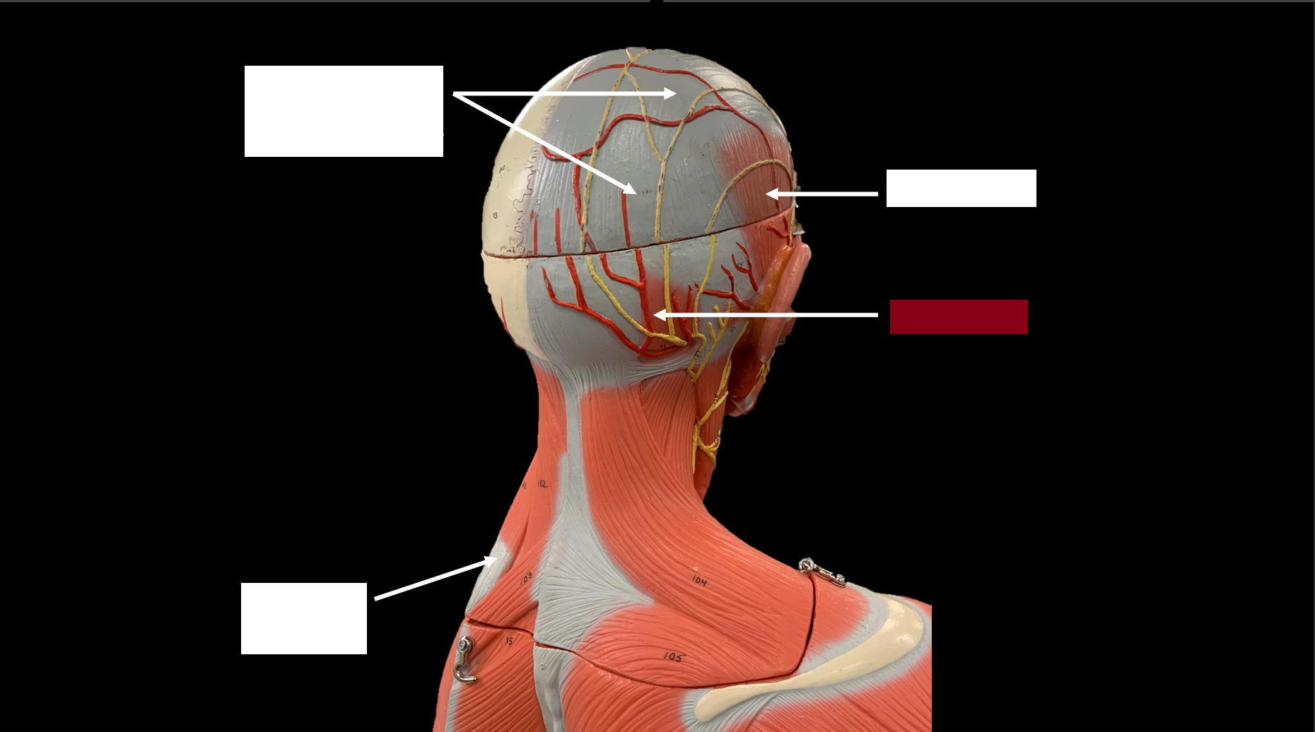 <p>WHAT IS THE NAME OF THE RED HIGHLIGHTED PART?</p>