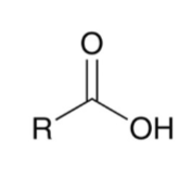 <p>carboxylic acid</p>
