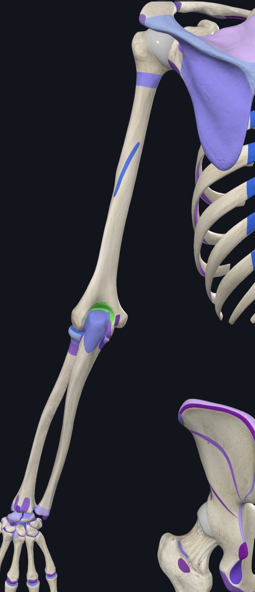 <p>what is this?</p>