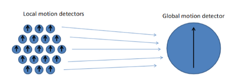 <p>we need to pool information from multiple motion detectors</p>