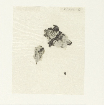 <p>copy of Hendrick Goltzius after Bartholomeus Spranger, <em>Adam and Eve</em>, 1585-1596, engraving</p>