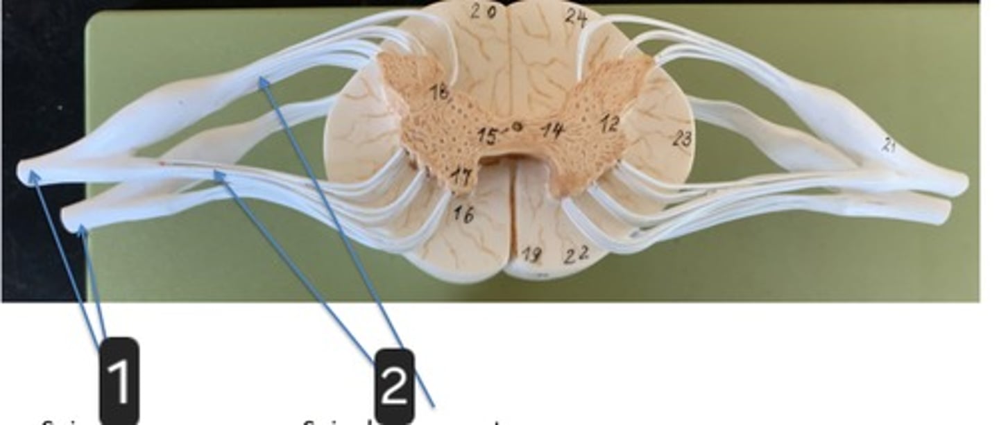 <p>1</p>