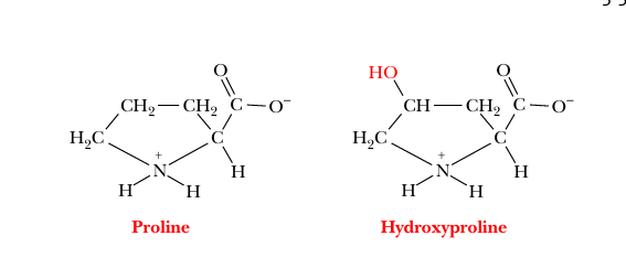 <p>uncommon amino acids</p>