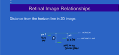 <p>Distance from the Horizon Line in 2D Image (Pic)</p>
