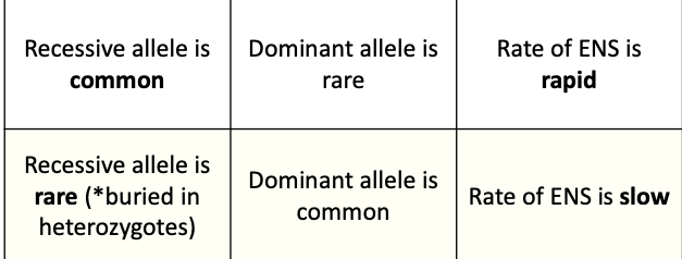 <p>Top: When a harmful <strong>recessive allele</strong> is common, many individuals are homozygous recessive (aaaaaa), so the trait is expressed and selection can remove it easily.</p><p>Bottom: When the recessive allele becomes rare, most copies are hidden inside heterozygotes (Aa). Because heterozygotes look normal, natural selection cannot “see” the recessive allele very well.</p>