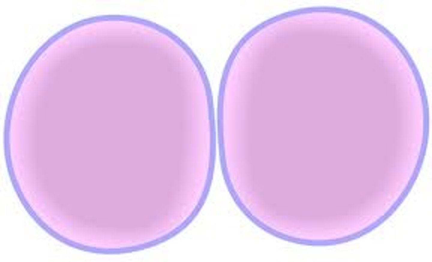 <p>Jelly-like substance where organelles are found</p><p>All cells</p>