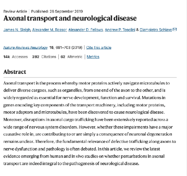 <p><span>Disruption of Axonal Transport</span></p>