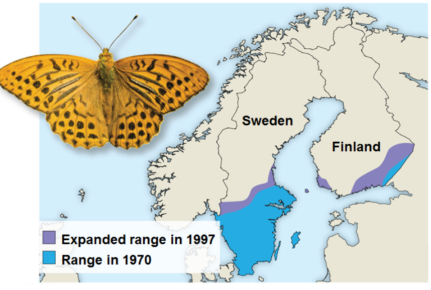 <p><strong>Range shift</strong></p>