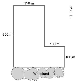 <ul><li><p>Some students investigated the size of a population of dandelion plants in a field. </p></li><li><p>The diagram shows the field.</p></li><li><p>The table below shows the students’ results.</p></li></ul><table style="min-width: 50px;"><colgroup><col style="min-width: 25px;"><col style="min-width: 25px;"></colgroup><tbody><tr><td colspan="1" rowspan="1" style="animation: auto ease 0s 1 normal none running none; appearance: none; background: none 0% 0% / auto repeat scroll padding-box border-box rgb(239, 239, 239); inset: auto; clear: none; clip: auto; columns: auto; contain: none; container: none; content: normal; cursor: auto; cx: 0px; cy: 0px; d: none; direction: ltr; display: table-cell; fill: rgb(0, 0, 0); filter: none; flex: 0 1 auto; float: none; gap: normal; hyphens: manual; interactivity: auto; isolation: auto; margin-right: 0px; margin-bottom: 0px; margin-left: 0px; marker: none; mask: none; offset: normal; opacity: 1; order: 0; orphans: 2; outline: rgb(31, 31, 31) none 0px; overlay: none; padding: 16px 12px 16px 0px; page: auto; perspective: none; position: static; quotes: auto; r: 0px; resize: none; rotate: none; rx: auto; ry: auto; scale: none; speak: normal; stroke: none; transform: none; transition: all; translate: none; visibility: visible; widows: 2; x: 0px; y: 0px; zoom: 1; border: 1px solid; margin-top: 0px !important;"><p><span style="color: rgb(0, 0, 0);"><strong>Quadrat number</strong></span></p></td><td colspan="1" rowspan="1" style="animation: auto ease 0s 1 normal none running none; appearance: none; background: none 0% 0% / auto repeat scroll padding-box border-box rgb(239, 239, 239); inset: auto; clear: none; clip: auto; columns: auto; contain: none; container: none; content: normal; cursor: auto; cx: 0px; cy: 0px; d: none; direction: ltr; display: table-cell; fill: rgb(0, 0, 0); filter: none; flex: 0 1 auto; float: none; gap: normal; hyphens: manual; interactivity: auto; isolation: auto; margin-right: 0px; margin-bottom: 0px; margin-left: 0px; marker: none; mask: none; offset: normal; opacity: 1; order: 0; orphans: 2; outline: rgb(31, 31, 31) none 0px; overlay: none; padding: 16px 0px; page: auto; perspective: none; position: static; quotes: auto; r: 0px; resize: none; rotate: none; rx: auto; ry: auto; scale: none; speak: normal; stroke: none; transform: none; transition: all; translate: none; visibility: visible; widows: 2; x: 0px; y: 0px; zoom: 1; border: 1px solid; margin-top: 0px !important;"><p><span style="color: rgb(0, 0, 0);"><strong>Number of dandelion plants</strong></span></p></td></tr><tr><td colspan="1" rowspan="1" style="animation: auto ease 0s 1 normal none running none; appearance: none; background: none 0% 0% / auto repeat scroll padding-box border-box rgba(0, 0, 0, 0); inset: auto; clear: none; clip: auto; columns: auto; contain: none; container: none; content: normal; cursor: auto; cx: 0px; cy: 0px; d: none; direction: ltr; display: table-cell; fill: rgb(0, 0, 0); filter: none; flex: 0 1 auto; float: none; gap: normal; hyphens: manual; interactivity: auto; isolation: auto; margin-right: 0px; margin-bottom: 0px; margin-left: 0px; marker: none; mask: none; offset: normal; opacity: 1; order: 0; orphans: 2; outline: rgb(31, 31, 31) none 0px; overlay: none; padding: 16px 12px 16px 0px; page: auto; perspective: none; position: static; quotes: auto; r: 0px; resize: none; rotate: none; rx: auto; ry: auto; scale: none; speak: normal; stroke: none; transform: none; transition: all; translate: none; visibility: visible; widows: 2; x: 0px; y: 0px; zoom: 1; border: 1px solid; margin-top: 0px !important;"><p><span style="background-color: rgba(0, 0, 0, 0);">1</span></p></td><td colspan="1" rowspan="1" style="animation: auto ease 0s 1 normal none running none; appearance: none; background: none 0% 0% / auto repeat scroll padding-box border-box rgba(0, 0, 0, 0); inset: auto; clear: none; clip: auto; columns: auto; contain: none; container: none; content: normal; cursor: auto; cx: 0px; cy: 0px; d: none; direction: ltr; display: table-cell; fill: rgb(0, 0, 0); filter: none; flex: 0 1 auto; float: none; gap: normal; hyphens: manual; interactivity: auto; isolation: auto; margin-right: 0px; margin-bottom: 0px; margin-left: 0px; marker: none; mask: none; offset: normal; opacity: 1; order: 0; orphans: 2; outline: rgb(31, 31, 31) none 0px; overlay: none; padding: 16px 0px; page: auto; perspective: none; position: static; quotes: auto; r: 0px; resize: none; rotate: none; rx: auto; ry: auto; scale: none; speak: normal; stroke: none; transform: none; transition: all; translate: none; visibility: visible; widows: 2; x: 0px; y: 0px; zoom: 1; border: 1px solid; margin-top: 0px !important;"><p><span style="background-color: rgba(0, 0, 0, 0);">6</span></p></td></tr><tr><td colspan="1" rowspan="1" style="animation: auto ease 0s 1 normal none running none; appearance: none; background: none 0% 0% / auto repeat scroll padding-box border-box rgba(0, 0, 0, 0); inset: auto; clear: none; clip: auto; columns: auto; contain: none; container: none; content: normal; cursor: auto; cx: 0px; cy: 0px; d: none; direction: ltr; display: table-cell; fill: rgb(0, 0, 0); filter: none; flex: 0 1 auto; float: none; gap: normal; hyphens: manual; interactivity: auto; isolation: auto; margin-right: 0px; margin-bottom: 0px; margin-left: 0px; marker: none; mask: none; offset: normal; opacity: 1; order: 0; orphans: 2; outline: rgb(31, 31, 31) none 0px; overlay: none; padding: 16px 12px 16px 0px; page: auto; perspective: none; position: static; quotes: auto; r: 0px; resize: none; rotate: none; rx: auto; ry: auto; scale: none; speak: normal; stroke: none; transform: none; transition: all; translate: none; visibility: visible; widows: 2; x: 0px; y: 0px; zoom: 1; border: 1px solid; margin-top: 0px !important;"><p><span style="background-color: rgba(0, 0, 0, 0);">2</span></p></td><td colspan="1" rowspan="1" style="animation: auto ease 0s 1 normal none running none; appearance: none; background: none 0% 0% / auto repeat scroll padding-box border-box rgba(0, 0, 0, 0); inset: auto; clear: none; clip: auto; columns: auto; contain: none; container: none; content: normal; cursor: auto; cx: 0px; cy: 0px; d: none; direction: ltr; display: table-cell; fill: rgb(0, 0, 0); filter: none; flex: 0 1 auto; float: none; gap: normal; hyphens: manual; interactivity: auto; isolation: auto; margin-right: 0px; margin-bottom: 0px; margin-left: 0px; marker: none; mask: none; offset: normal; opacity: 1; order: 0; orphans: 2; outline: rgb(31, 31, 31) none 0px; overlay: none; padding: 16px 0px; page: auto; perspective: none; position: static; quotes: auto; r: 0px; resize: none; rotate: none; rx: auto; ry: auto; scale: none; speak: normal; stroke: none; transform: none; transition: all; translate: none; visibility: visible; widows: 2; x: 0px; y: 0px; zoom: 1; border: 1px solid; margin-top: 0px !important;"><p><span style="background-color: rgba(0, 0, 0, 0);">9</span></p></td></tr><tr><td colspan="1" rowspan="1" style="animation: auto ease 0s 1 normal none running none; appearance: none; background: none 0% 0% / auto repeat scroll padding-box border-box rgba(0, 0, 0, 0); inset: auto; clear: none; clip: auto; columns: auto; contain: none; container: none; content: normal; cursor: auto; cx: 0px; cy: 0px; d: none; direction: ltr; display: table-cell; fill: rgb(0, 0, 0); filter: none; flex: 0 1 auto; float: none; gap: normal; hyphens: manual; interactivity: auto; isolation: auto; margin-right: 0px; margin-bottom: 0px; margin-left: 0px; marker: none; mask: none; offset: normal; opacity: 1; order: 0; orphans: 2; outline: rgb(31, 31, 31) none 0px; overlay: none; padding: 16px 12px 16px 0px; page: auto; perspective: none; position: static; quotes: auto; r: 0px; resize: none; rotate: none; rx: auto; ry: auto; scale: none; speak: normal; stroke: none; transform: none; transition: all; translate: none; visibility: visible; widows: 2; x: 0px; y: 0px; zoom: 1; border: 1px solid; margin-top: 0px !important;"><p><span style="background-color: rgba(0, 0, 0, 0);">3</span></p></td><td colspan="1" rowspan="1" style="animation: auto ease 0s 1 normal none running none; appearance: none; background: none 0% 0% / auto repeat scroll padding-box border-box rgba(0, 0, 0, 0); inset: auto; clear: none; clip: auto; columns: auto; contain: none; container: none; content: normal; cursor: auto; cx: 0px; cy: 0px; d: none; direction: ltr; display: table-cell; fill: rgb(0, 0, 0); filter: none; flex: 0 1 auto; float: none; gap: normal; hyphens: manual; interactivity: auto; isolation: auto; margin-right: 0px; margin-bottom: 0px; margin-left: 0px; marker: none; mask: none; offset: normal; opacity: 1; order: 0; orphans: 2; outline: rgb(31, 31, 31) none 0px; overlay: none; padding: 16px 0px; page: auto; perspective: none; position: static; quotes: auto; r: 0px; resize: none; rotate: none; rx: auto; ry: auto; scale: none; speak: normal; stroke: none; transform: none; transition: all; translate: none; visibility: visible; widows: 2; x: 0px; y: 0px; zoom: 1; border: 1px solid; margin-top: 0px !important;"><p><span style="background-color: rgba(0, 0, 0, 0);">5</span></p></td></tr><tr><td colspan="1" rowspan="1" style="animation: auto ease 0s 1 normal none running none; appearance: none; background: none 0% 0% / auto repeat scroll padding-box border-box rgba(0, 0, 0, 0); inset: auto; clear: none; clip: auto; columns: auto; contain: none; container: none; content: normal; cursor: auto; cx: 0px; cy: 0px; d: none; direction: ltr; display: table-cell; fill: rgb(0, 0, 0); filter: none; flex: 0 1 auto; float: none; gap: normal; hyphens: manual; interactivity: auto; isolation: auto; margin-right: 0px; margin-bottom: 0px; margin-left: 0px; marker: none; mask: none; offset: normal; opacity: 1; order: 0; orphans: 2; outline: rgb(31, 31, 31) none 0px; overlay: none; padding: 16px 12px 16px 0px; page: auto; perspective: none; position: static; quotes: auto; r: 0px; resize: none; rotate: none; rx: auto; ry: auto; scale: none; speak: normal; stroke: none; transform: none; transition: all; translate: none; visibility: visible; widows: 2; x: 0px; y: 0px; zoom: 1; border: 1px solid; margin-top: 0px !important;"><p><span style="background-color: rgba(0, 0, 0, 0);">4</span></p></td><td colspan="1" rowspan="1" style="animation: auto ease 0s 1 normal none running none; appearance: none; background: none 0% 0% / auto repeat scroll padding-box border-box rgba(0, 0, 0, 0); inset: auto; clear: none; clip: auto; columns: auto; contain: none; container: none; content: normal; cursor: auto; cx: 0px; cy: 0px; d: none; direction: ltr; display: table-cell; fill: rgb(0, 0, 0); filter: none; flex: 0 1 auto; float: none; gap: normal; hyphens: manual; interactivity: auto; isolation: auto; margin-right: 0px; margin-bottom: 0px; margin-left: 0px; marker: none; mask: none; offset: normal; opacity: 1; order: 0; orphans: 2; outline: rgb(31, 31, 31) none 0px; overlay: none; padding: 16px 0px; page: auto; perspective: none; position: static; quotes: auto; r: 0px; resize: none; rotate: none; rx: auto; ry: auto; scale: none; speak: normal; stroke: none; transform: none; transition: all; translate: none; visibility: visible; widows: 2; x: 0px; y: 0px; zoom: 1; border: 1px solid; margin-top: 0px !important;"><p><span style="background-color: rgba(0, 0, 0, 0);">8</span></p></td></tr><tr><td colspan="1" rowspan="1" style="animation: auto ease 0s 1 normal none running none; appearance: none; background: none 0% 0% / auto repeat scroll padding-box border-box rgba(0, 0, 0, 0); inset: auto; clear: none; clip: auto; columns: auto; contain: none; container: none; content: normal; cursor: auto; cx: 0px; cy: 0px; d: none; direction: ltr; display: table-cell; fill: rgb(0, 0, 0); filter: none; flex: 0 1 auto; float: none; gap: normal; hyphens: manual; interactivity: auto; isolation: auto; margin-right: 0px; margin-bottom: 0px; margin-left: 0px; marker: none; mask: none; offset: normal; opacity: 1; order: 0; orphans: 2; outline: rgb(31, 31, 31) none 0px; overlay: none; padding: 16px 12px 16px 0px; page: auto; perspective: none; position: static; quotes: auto; r: 0px; resize: none; rotate: none; rx: auto; ry: auto; scale: none; speak: normal; stroke: none; transform: none; transition: all; translate: none; visibility: visible; widows: 2; x: 0px; y: 0px; zoom: 1; border: 1px solid; margin-top: 0px !important;"><p><span style="background-color: rgba(0, 0, 0, 0);">5</span></p></td><td colspan="1" rowspan="1" style="animation: auto ease 0s 1 normal none running none; appearance: none; background: none 0% 0% / auto repeat scroll padding-box border-box rgba(0, 0, 0, 0); inset: auto; clear: none; clip: auto; columns: auto; contain: none; container: none; content: normal; cursor: auto; cx: 0px; cy: 0px; d: none; direction: ltr; display: table-cell; fill: rgb(0, 0, 0); filter: none; flex: 0 1 auto; float: none; gap: normal; hyphens: manual; interactivity: auto; isolation: auto; margin-right: 0px; margin-bottom: 0px; margin-left: 0px; marker: none; mask: none; offset: normal; opacity: 1; order: 0; orphans: 2; outline: rgb(31, 31, 31) none 0px; overlay: none; padding: 16px 0px; page: auto; perspective: none; position: static; quotes: auto; r: 0px; resize: none; rotate: none; rx: auto; ry: auto; scale: none; speak: normal; stroke: none; transform: none; transition: all; translate: none; visibility: visible; widows: 2; x: 0px; y: 0px; zoom: 1; border: 1px solid; margin-top: 0px !important;"><p><span style="background-color: rgba(0, 0, 0, 0);">0</span></p></td></tr><tr><td colspan="1" rowspan="1" style="animation: auto ease 0s 1 normal none running none; appearance: none; background: none 0% 0% / auto repeat scroll padding-box border-box rgba(0, 0, 0, 0); inset: auto; clear: none; clip: auto; columns: auto; contain: none; container: none; content: normal; cursor: auto; cx: 0px; cy: 0px; d: none; direction: ltr; display: table-cell; fill: rgb(0, 0, 0); filter: none; flex: 0 1 auto; float: none; gap: normal; hyphens: manual; interactivity: auto; isolation: auto; margin-right: 0px; margin-bottom: 0px; margin-left: 0px; marker: none; mask: none; offset: normal; opacity: 1; order: 0; orphans: 2; outline: rgb(31, 31, 31) none 0px; overlay: none; padding: 16px 12px 16px 0px; page: auto; perspective: none; position: static; quotes: auto; r: 0px; resize: none; rotate: none; rx: auto; ry: auto; scale: none; speak: normal; stroke: none; transform: none; transition: all; translate: none; visibility: visible; widows: 2; x: 0px; y: 0px; zoom: 1; border: 1px solid; margin-top: 0px !important;"><p><span style="background-color: rgba(0, 0, 0, 0);">6</span></p></td><td colspan="1" rowspan="1" style="animation: auto ease 0s 1 normal none running none; appearance: none; background: none 0% 0% / auto repeat scroll padding-box border-box rgba(0, 0, 0, 0); inset: auto; clear: none; clip: auto; columns: auto; contain: none; container: none; content: normal; cursor: auto; cx: 0px; cy: 0px; d: none; direction: ltr; display: table-cell; fill: rgb(0, 0, 0); filter: none; flex: 0 1 auto; float: none; gap: normal; hyphens: manual; interactivity: auto; isolation: auto; margin-right: 0px; margin-bottom: 0px; margin-left: 0px; marker: none; mask: none; offset: normal; opacity: 1; order: 0; orphans: 2; outline: rgb(31, 31, 31) none 0px; overlay: none; padding: 16px 0px; page: auto; perspective: none; position: static; quotes: auto; r: 0px; resize: none; rotate: none; rx: auto; ry: auto; scale: none; speak: normal; stroke: none; transform: none; transition: all; translate: none; visibility: visible; widows: 2; x: 0px; y: 0px; zoom: 1; border: 1px solid; margin-top: 0px !important;"><p><span style="background-color: rgba(0, 0, 0, 0);">10</span></p></td></tr><tr><td colspan="1" rowspan="1" style="animation: auto ease 0s 1 normal none running none; appearance: none; background: none 0% 0% / auto repeat scroll padding-box border-box rgba(0, 0, 0, 0); inset: auto; clear: none; clip: auto; columns: auto; contain: none; container: none; content: normal; cursor: auto; cx: 0px; cy: 0px; d: none; direction: ltr; display: table-cell; fill: rgb(0, 0, 0); filter: none; flex: 0 1 auto; float: none; gap: normal; hyphens: manual; interactivity: auto; isolation: auto; margin-right: 0px; margin-bottom: 0px; margin-left: 0px; marker: none; mask: none; offset: normal; opacity: 1; order: 0; orphans: 2; outline: rgb(31, 31, 31) none 0px; overlay: none; padding: 16px 12px 16px 0px; page: auto; perspective: none; position: static; quotes: auto; r: 0px; resize: none; rotate: none; rx: auto; ry: auto; scale: none; speak: normal; stroke: none; transform: none; transition: all; translate: none; visibility: visible; widows: 2; x: 0px; y: 0px; zoom: 1; border: 1px solid; margin-top: 0px !important;"><p><span style="background-color: rgba(0, 0, 0, 0);">7</span></p></td><td colspan="1" rowspan="1" style="animation: auto ease 0s 1 normal none running none; appearance: none; background: none 0% 0% / auto repeat scroll padding-box border-box rgba(0, 0, 0, 0); inset: auto; clear: none; clip: auto; columns: auto; contain: none; container: none; content: normal; cursor: auto; cx: 0px; cy: 0px; d: none; direction: ltr; display: table-cell; fill: rgb(0, 0, 0); filter: none; flex: 0 1 auto; float: none; gap: normal; hyphens: manual; interactivity: auto; isolation: auto; margin-right: 0px; margin-bottom: 0px; margin-left: 0px; marker: none; mask: none; offset: normal; opacity: 1; order: 0; orphans: 2; outline: rgb(31, 31, 31) none 0px; overlay: none; padding: 16px 0px; page: auto; perspective: none; position: static; quotes: auto; r: 0px; resize: none; rotate: none; rx: auto; ry: auto; scale: none; speak: normal; stroke: none; transform: none; transition: all; translate: none; visibility: visible; widows: 2; x: 0px; y: 0px; zoom: 1; border: 1px solid; margin-top: 0px !important;"><p><span style="background-color: rgba(0, 0, 0, 0);">2</span></p></td></tr><tr><td colspan="1" rowspan="1" style="animation: auto ease 0s 1 normal none running none; appearance: none; background: none 0% 0% / auto repeat scroll padding-box border-box rgba(0, 0, 0, 0); inset: auto; clear: none; clip: auto; columns: auto; contain: none; container: none; content: normal; cursor: auto; cx: 0px; cy: 0px; d: none; direction: ltr; display: table-cell; fill: rgb(0, 0, 0); filter: none; flex: 0 1 auto; float: none; gap: normal; hyphens: manual; interactivity: auto; isolation: auto; margin-right: 0px; margin-bottom: 0px; margin-left: 0px; marker: none; mask: none; offset: normal; opacity: 1; order: 0; orphans: 2; outline: rgb(31, 31, 31) none 0px; overlay: none; padding: 16px 12px 16px 0px; page: auto; perspective: none; position: static; quotes: auto; r: 0px; resize: none; rotate: none; rx: auto; ry: auto; scale: none; speak: normal; stroke: none; transform: none; transition: all; translate: none; visibility: visible; widows: 2; x: 0px; y: 0px; zoom: 1; border: 1px solid; margin-top: 0px !important;"><p><span style="background-color: rgba(0, 0, 0, 0);">8</span></p></td><td colspan="1" rowspan="1" style="animation: auto ease 0s 1 normal none running none; appearance: none; background: none 0% 0% / auto repeat scroll padding-box border-box rgba(0, 0, 0, 0); inset: auto; clear: none; clip: auto; columns: auto; contain: none; container: none; content: normal; cursor: auto; cx: 0px; cy: 0px; d: none; direction: ltr; display: table-cell; fill: rgb(0, 0, 0); filter: none; flex: 0 1 auto; float: none; gap: normal; hyphens: manual; interactivity: auto; isolation: auto; margin-right: 0px; margin-bottom: 0px; margin-left: 0px; marker: none; mask: none; offset: normal; opacity: 1; order: 0; orphans: 2; outline: rgb(31, 31, 31) none 0px; overlay: none; padding: 16px 0px; page: auto; perspective: none; position: static; quotes: auto; r: 0px; resize: none; rotate: none; rx: auto; ry: auto; scale: none; speak: normal; stroke: none; transform: none; transition: all; translate: none; visibility: visible; widows: 2; x: 0px; y: 0px; zoom: 1; border: 1px solid; margin-top: 0px !important;"><p><span style="background-color: rgba(0, 0, 0, 0);">1</span></p></td></tr><tr><td colspan="1" rowspan="1" style="animation: auto ease 0s 1 normal none running none; appearance: none; background: none 0% 0% / auto repeat scroll padding-box border-box rgba(0, 0, 0, 0); inset: auto; clear: none; clip: auto; columns: auto; contain: none; container: none; content: normal; cursor: auto; cx: 0px; cy: 0px; d: none; direction: ltr; display: table-cell; fill: rgb(0, 0, 0); filter: none; flex: 0 1 auto; float: none; gap: normal; hyphens: manual; interactivity: auto; isolation: auto; margin-right: 0px; margin-bottom: 0px; margin-left: 0px; marker: none; mask: none; offset: normal; opacity: 1; order: 0; orphans: 2; outline: rgb(31, 31, 31) none 0px; overlay: none; padding: 16px 12px 16px 0px; page: auto; perspective: none; position: static; quotes: auto; r: 0px; resize: none; rotate: none; rx: auto; ry: auto; scale: none; speak: normal; stroke: none; transform: none; transition: all; translate: none; visibility: visible; widows: 2; x: 0px; y: 0px; zoom: 1; border: 1px solid; margin-top: 0px !important;"><p><span style="background-color: rgba(0, 0, 0, 0);">9</span></p></td><td colspan="1" rowspan="1" style="animation: auto ease 0s 1 normal none running none; appearance: none; background: none 0% 0% / auto repeat scroll padding-box border-box rgba(0, 0, 0, 0); inset: auto; clear: none; clip: auto; columns: auto; contain: none; container: none; content: normal; cursor: auto; cx: 0px; cy: 0px; d: none; direction: ltr; display: table-cell; fill: rgb(0, 0, 0); filter: none; flex: 0 1 auto; float: none; gap: normal; hyphens: manual; interactivity: auto; isolation: auto; margin-right: 0px; margin-bottom: 0px; margin-left: 0px; marker: none; mask: none; offset: normal; opacity: 1; order: 0; orphans: 2; outline: rgb(31, 31, 31) none 0px; overlay: none; padding: 16px 0px; page: auto; perspective: none; position: static; quotes: auto; r: 0px; resize: none; rotate: none; rx: auto; ry: auto; scale: none; speak: normal; stroke: none; transform: none; transition: all; translate: none; visibility: visible; widows: 2; x: 0px; y: 0px; zoom: 1; border: 1px solid; margin-top: 0px !important;"><p><span style="background-color: rgba(0, 0, 0, 0);">8</span></p></td></tr><tr><td colspan="1" rowspan="1" style="animation: auto ease 0s 1 normal none running none; appearance: none; background: none 0% 0% / auto repeat scroll padding-box border-box rgba(0, 0, 0, 0); inset: auto; clear: none; clip: auto; columns: auto; contain: none; container: none; content: normal; cursor: auto; cx: 0px; cy: 0px; d: none; direction: ltr; display: table-cell; fill: rgb(0, 0, 0); filter: none; flex: 0 1 auto; float: none; gap: normal; hyphens: manual; interactivity: auto; isolation: auto; margin-right: 0px; margin-bottom: 0px; margin-left: 0px; marker: none; mask: none; offset: normal; opacity: 1; order: 0; orphans: 2; outline: rgb(31, 31, 31) none 0px; overlay: none; padding: 16px 12px 16px 0px; page: auto; perspective: none; position: static; quotes: auto; r: 0px; resize: none; rotate: none; rx: auto; ry: auto; scale: none; speak: normal; stroke: none; transform: none; transition: all; translate: none; visibility: visible; widows: 2; x: 0px; y: 0px; zoom: 1; border: 1px solid; margin-top: 0px !important;"><p><span style="background-color: rgba(0, 0, 0, 0);">10</span></p></td><td colspan="1" rowspan="1" style="animation: auto ease 0s 1 normal none running none; appearance: none; background: none 0% 0% / auto repeat scroll padding-box border-box rgba(0, 0, 0, 0); inset: auto; clear: none; clip: auto; columns: auto; contain: none; container: none; content: normal; cursor: auto; cx: 0px; cy: 0px; d: none; direction: ltr; display: table-cell; fill: rgb(0, 0, 0); filter: none; flex: 0 1 auto; float: none; gap: normal; hyphens: manual; interactivity: auto; isolation: auto; margin-right: 0px; margin-bottom: 0px; margin-left: 0px; marker: none; mask: none; offset: normal; opacity: 1; order: 0; orphans: 2; outline: rgb(31, 31, 31) none 0px; overlay: none; padding: 16px 0px; page: auto; perspective: none; position: static; quotes: auto; r: 0px; resize: none; rotate: none; rx: auto; ry: auto; scale: none; speak: normal; stroke: none; transform: none; transition: all; translate: none; visibility: visible; widows: 2; x: 0px; y: 0px; zoom: 1; border: 1px solid; margin-top: 0px !important;"><p><span style="background-color: rgba(0, 0, 0, 0);">11</span></p></td></tr></tbody></table><ul><li><p>Quadrats 5, 7 and 8 were each placed less than 10 metres from the woodland.</p></li><li><p>The students made the hypothesis:</p><ul><li><p>‘Light intensity affects the number of dandelion plants that grow in an area.’</p></li></ul></li></ul><p>Plan an investigation to test this hypothesis. [6 marks]</p>