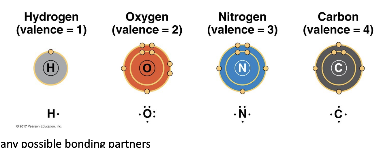 <p>has many bonding partners such as </p>