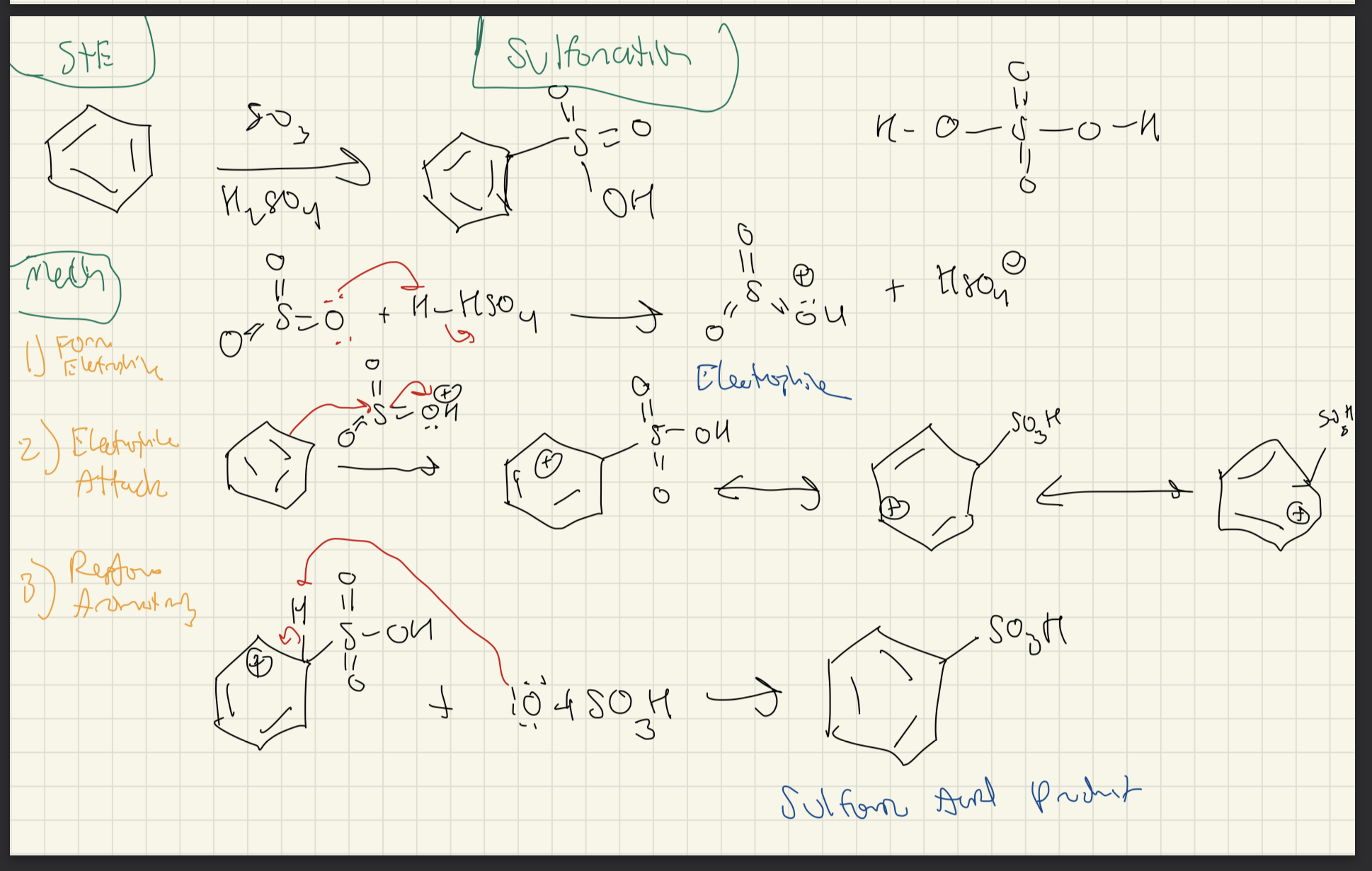 <p><strong>Benzene → <u>Sulfonation</u></strong></p><p></p><p>1) Form Electrophile</p><p>2) Attack Electrophile:</p><p>3) Restore Aromaticity</p><p>REVERSIBLE</p>