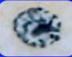 <p>what stage of mitosis is this? what type of cell is this?</p>