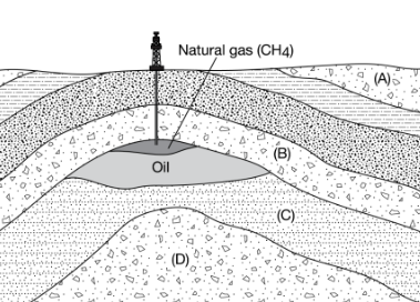 <p>Source Rock (D) - Organic matter subjected to heat + pressure over time → oil and gas which collects in reservoir above</p><p>Reservoir Rock (C) - Porus, permeable rock that holds oil + natural gas that has migrated from below</p><p>Caprock (B) - Impermeable rock that prevents the oil + natural gas from migrating to the surface (rock can still be proud but holes may not be connected)</p>