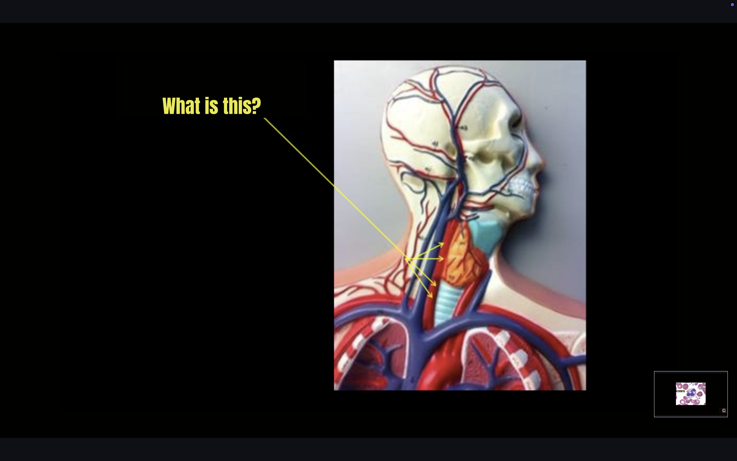 term image