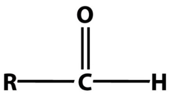 <p>Identify the following functional group:</p>