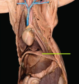 <p><span style="line-height: 17.375px;">Identify&nbsp;</span></p>