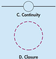 <p><span style="color: rgb(44, 0, 255);"><strong>Gestalt Rules For Perceptual Organization</strong></span></p><ul><li><p>Series of points having unity </p></li></ul><p></p>