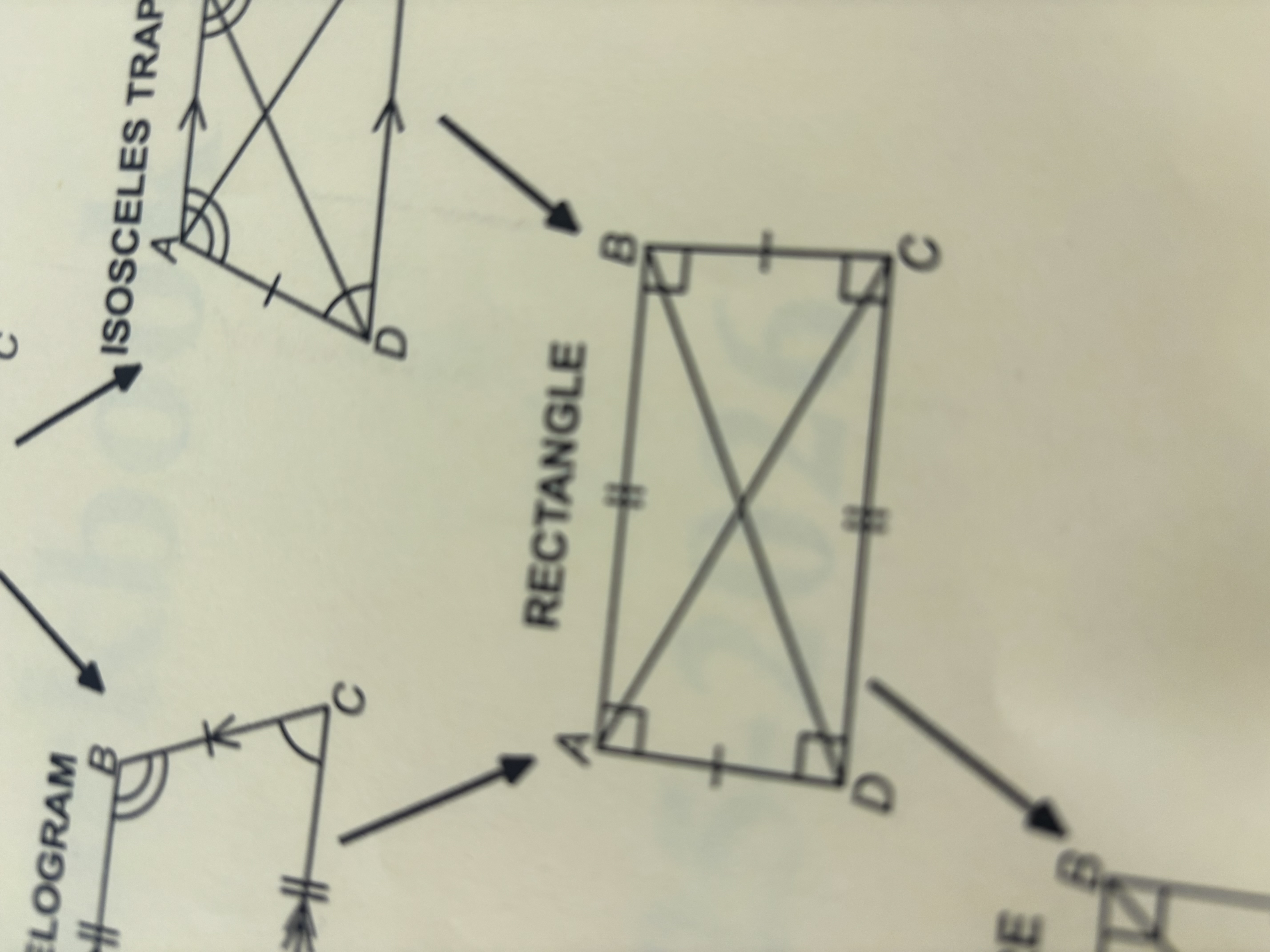 <p>Rectangle</p>