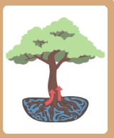 <p>to take water in</p>