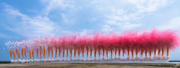 <p>Cai Guo Qiang, </p>