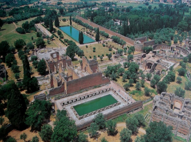 term image