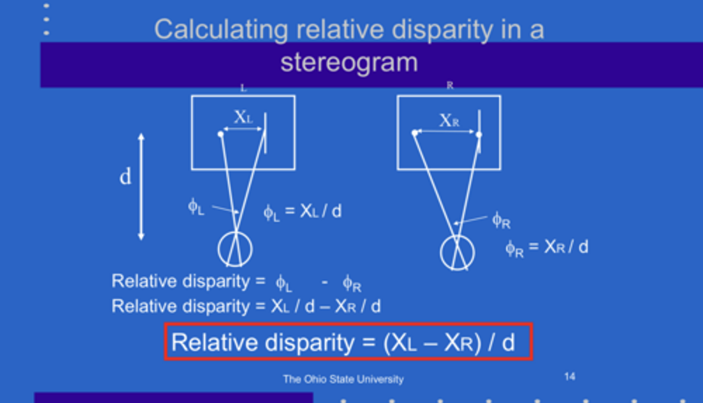 <p>Equation for Relative Disparity in a Stereogram</p>